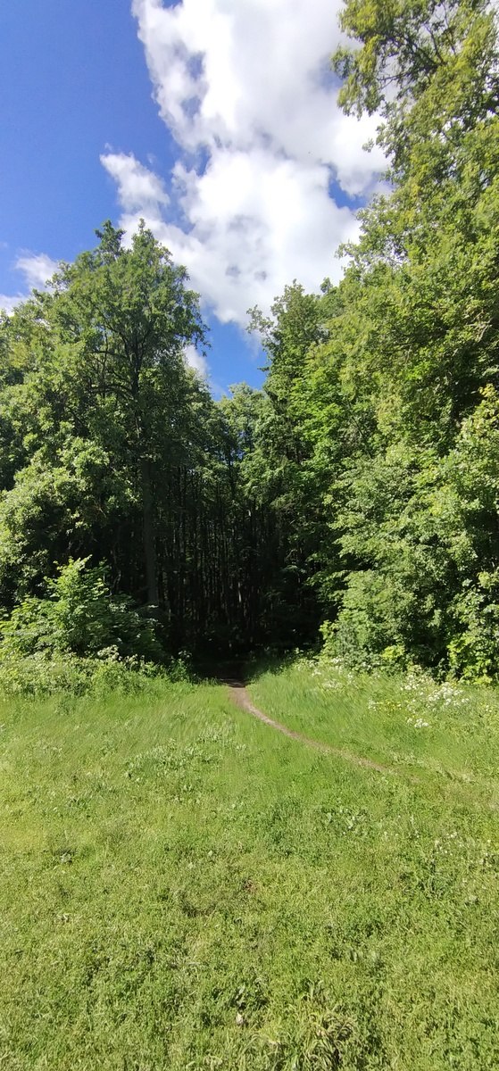 Личное фото