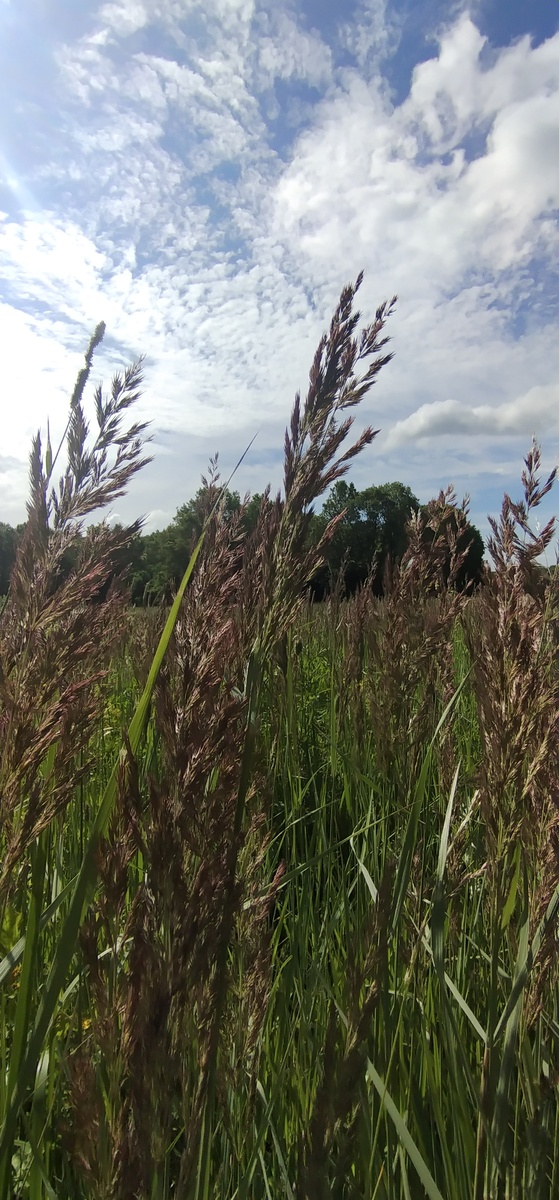 Личное фото