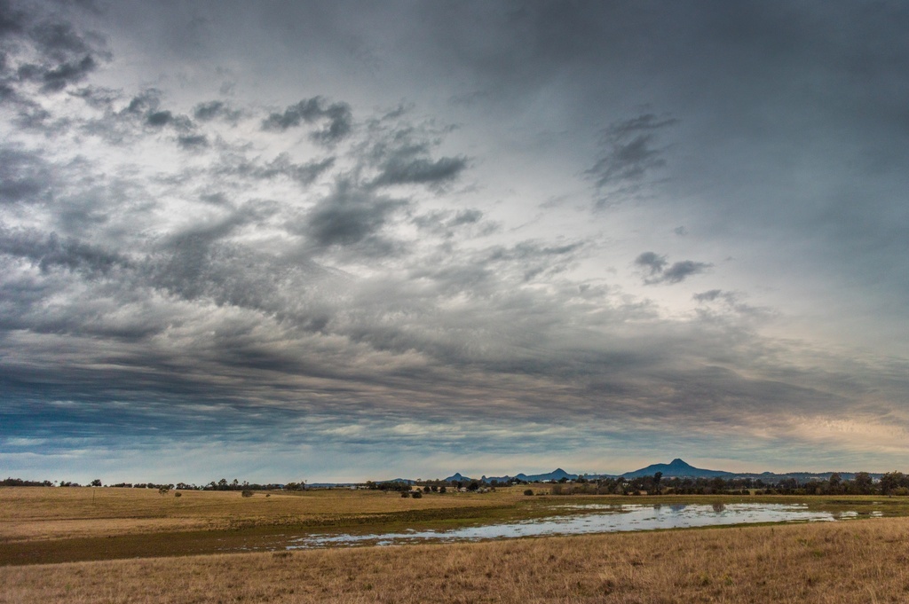 Австралийский буш в районе Воррил-Вью, что на шоссе Каннингем, Квинсленд, Австралия. Фото из домашнего архива.