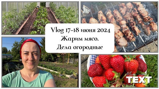 17-18 июня 2024 /Новый рецепт приготовления куриного филе /Жарим мясо / Подвязала томаты в теплице!