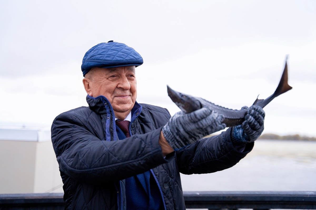    Растим осетра