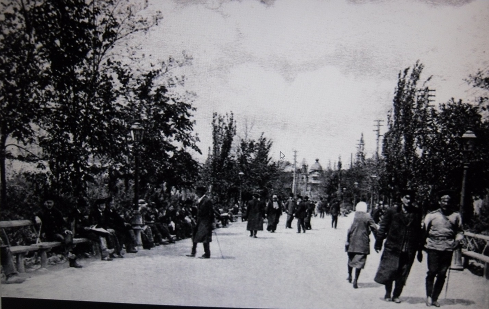Ростов-на-Дону. Аллея городского сада. 1910 – 1914 гг. Фото из открытых источников.