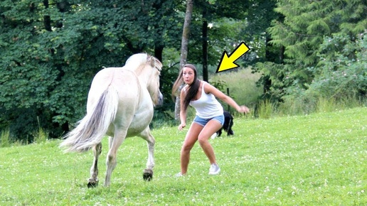 Это видео шокировало весь мир! Посмотрите, что сделала девушка с лошадью!