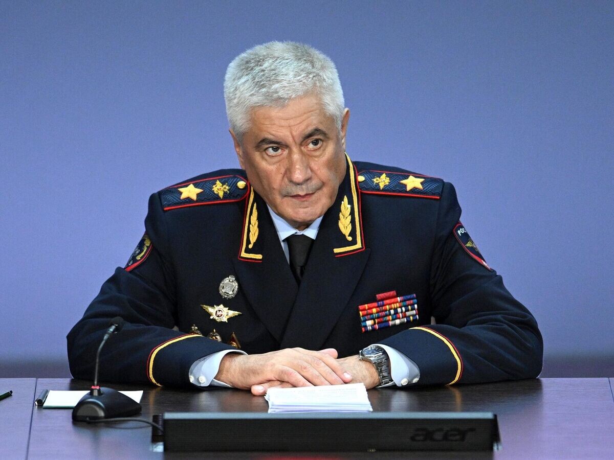    Министр внутренних дел РФ Владимир Колокольцев на ежегодном расширенном заседании коллегии министерства внутренних дел РФ© РИА Новости / Павел Бедняков