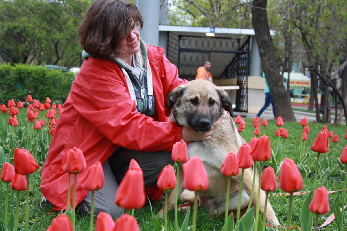 Наталья Хохолова