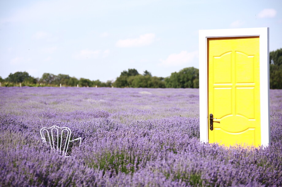 Фото: Елена Виговская