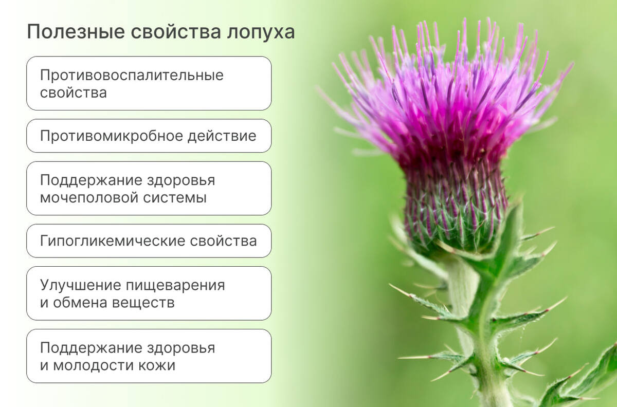 Фото взято из открытых источников.