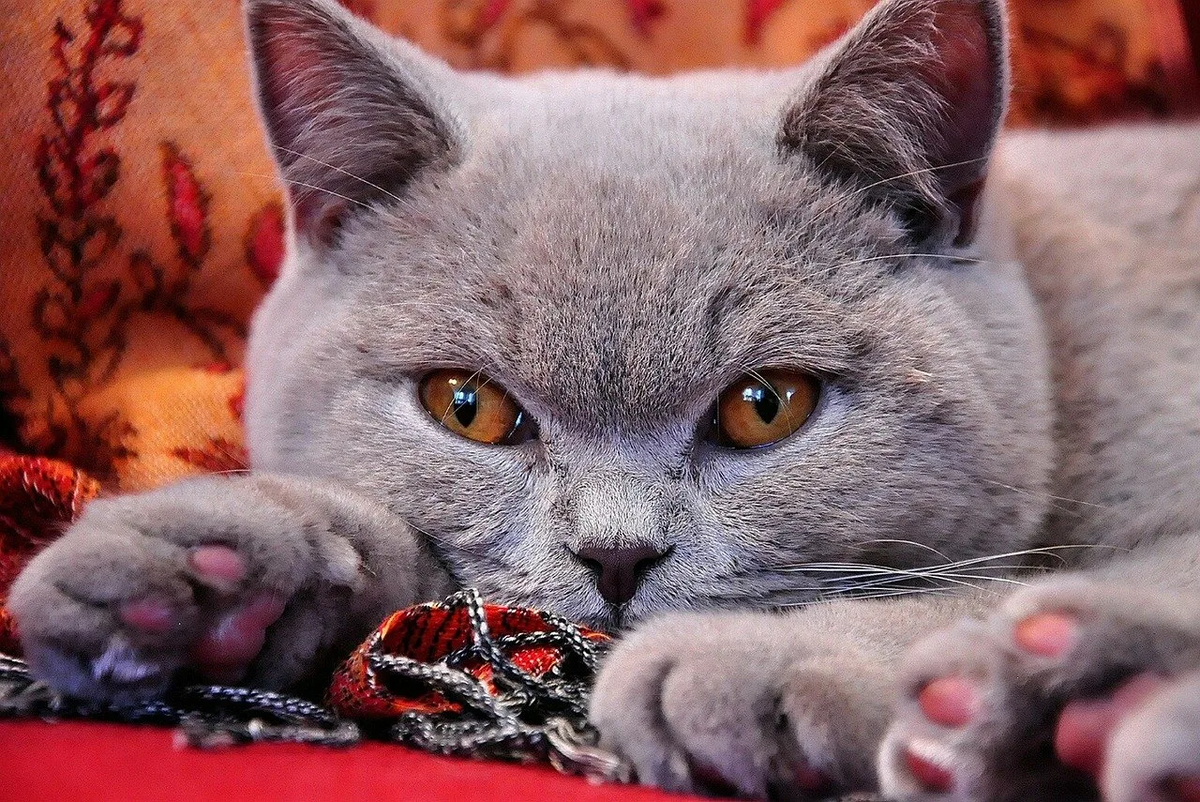 Тут всё моё