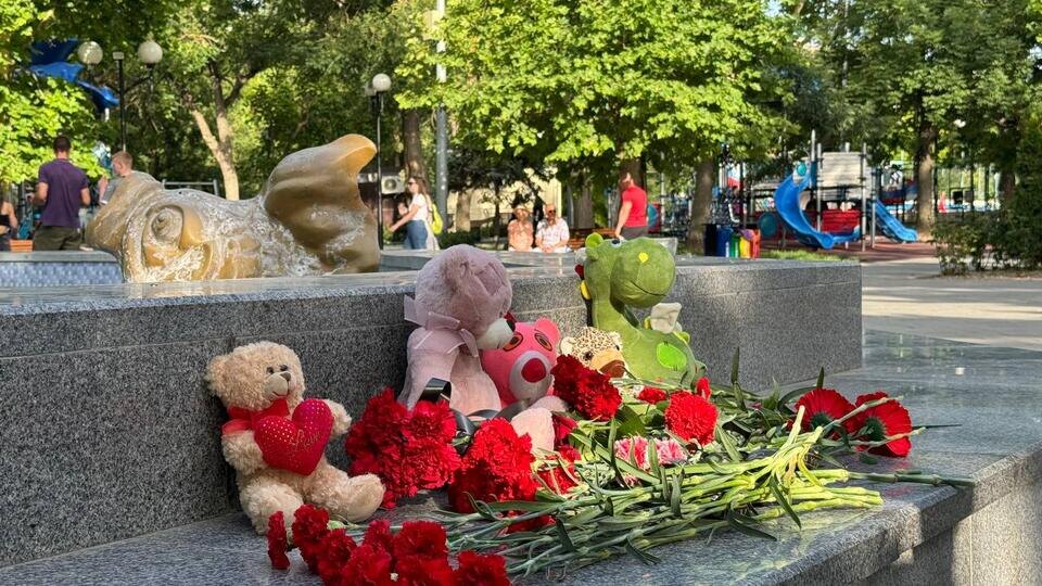 Фото: пресс-служба губернатора Севастополя Михаила Развожаева