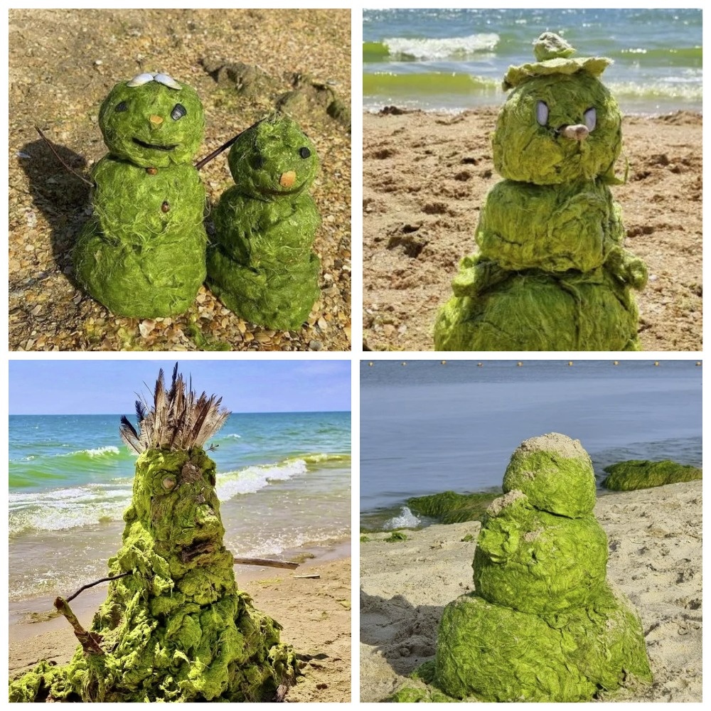 Коллаж из фото, постройки из водорослей