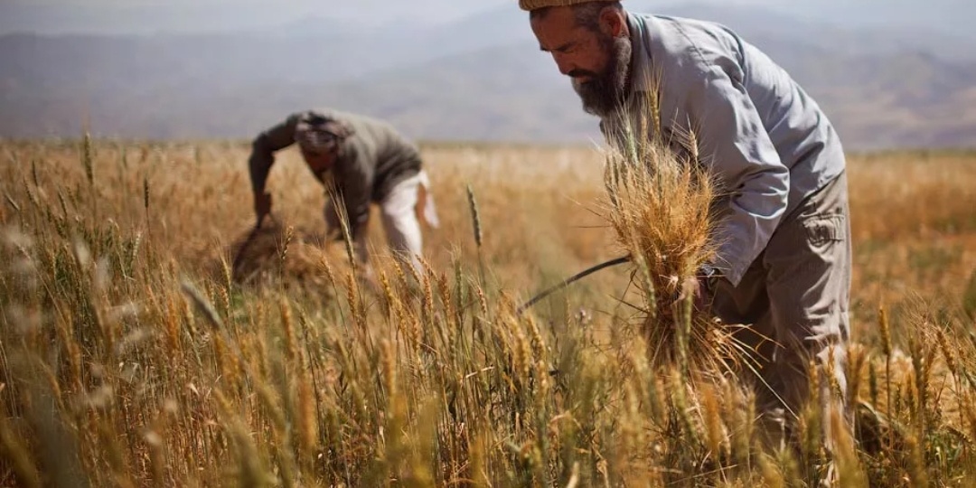 История со смыслом. Мотивация на каждый день.
