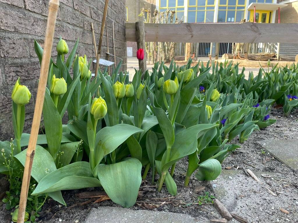 Фото Натальи Мироновой