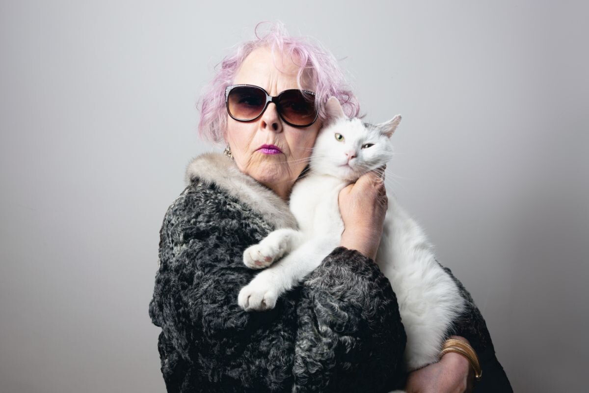 Кошка с хозяйкой 