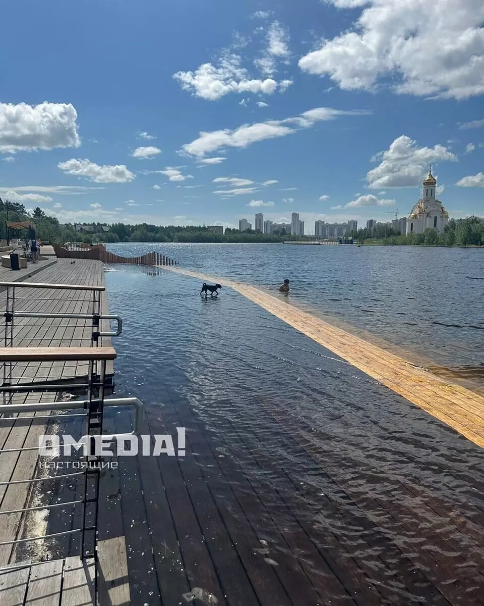     Источник: ОMedia