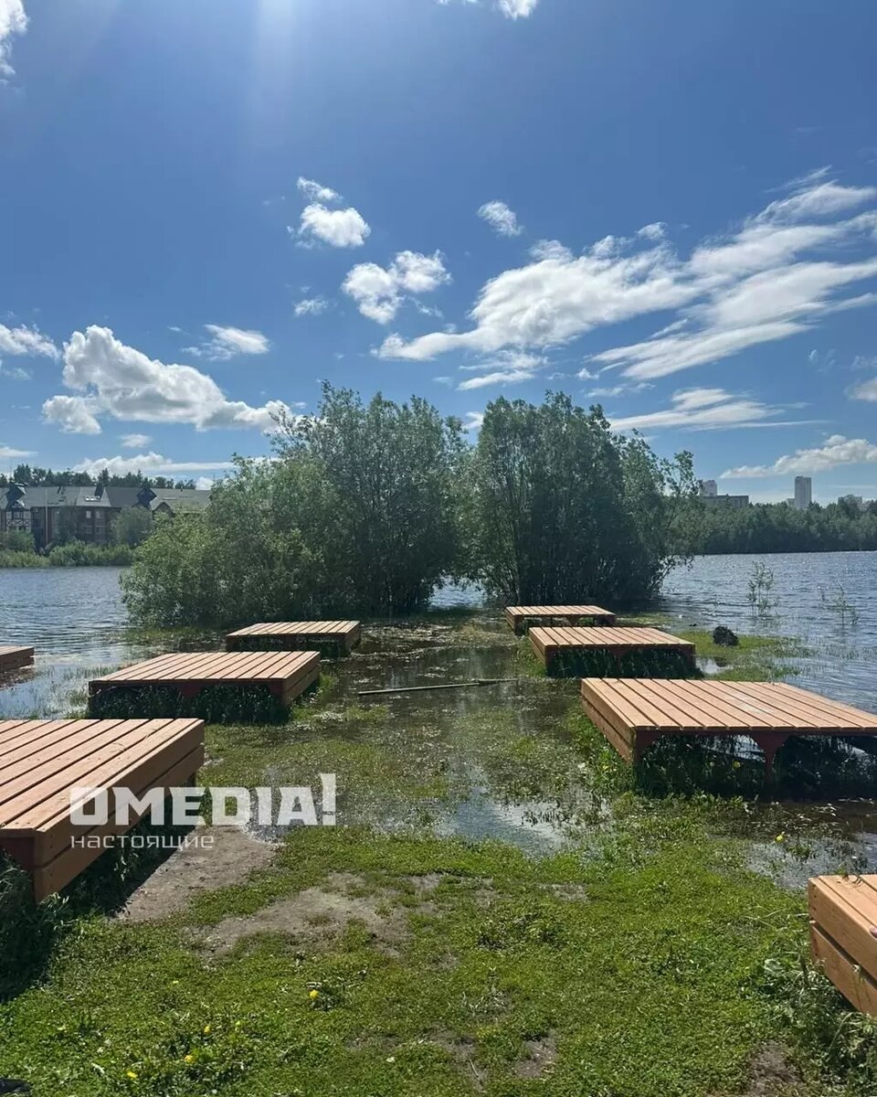     Источник: ОMedia