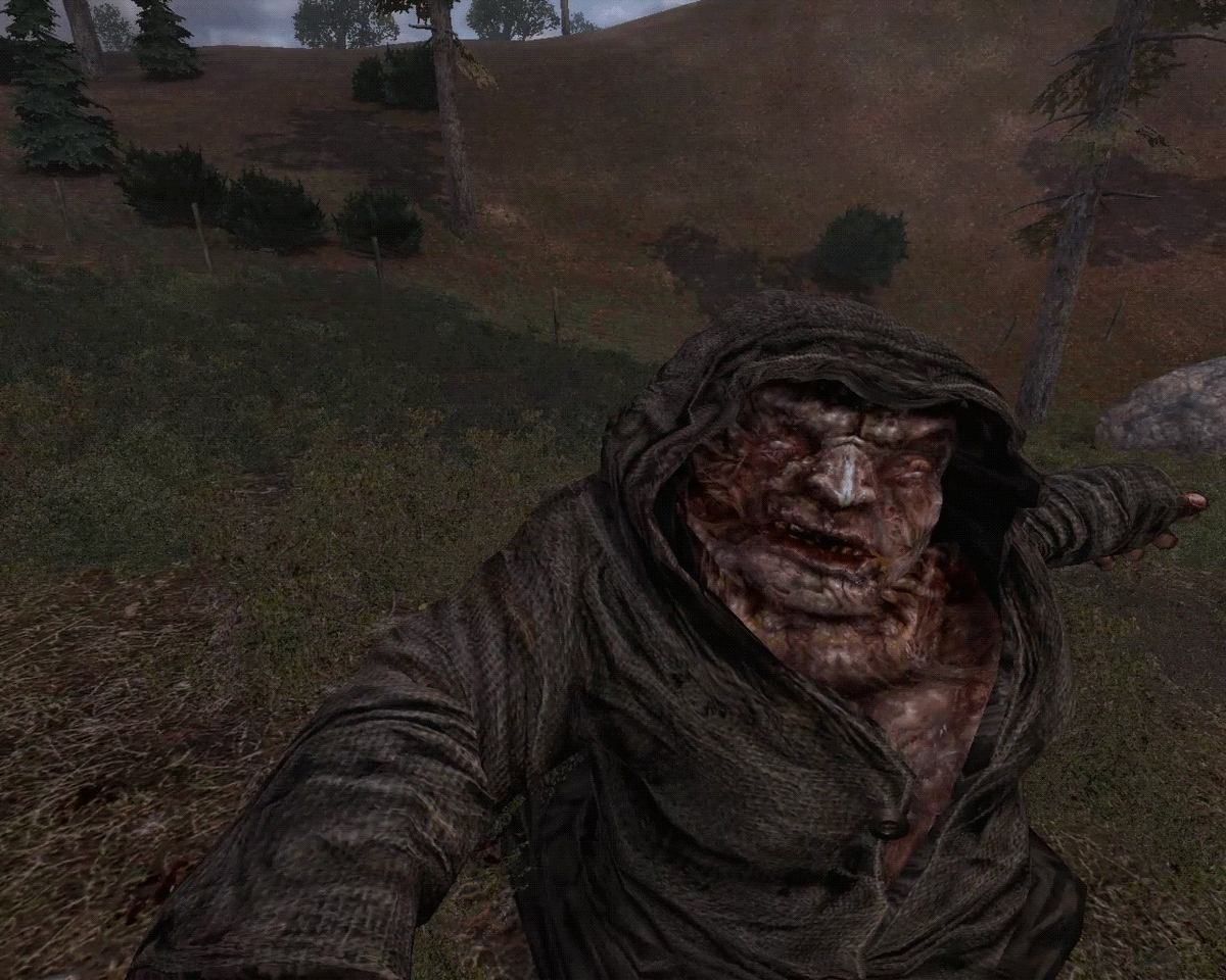 Короткие ножки Бюрера 😂