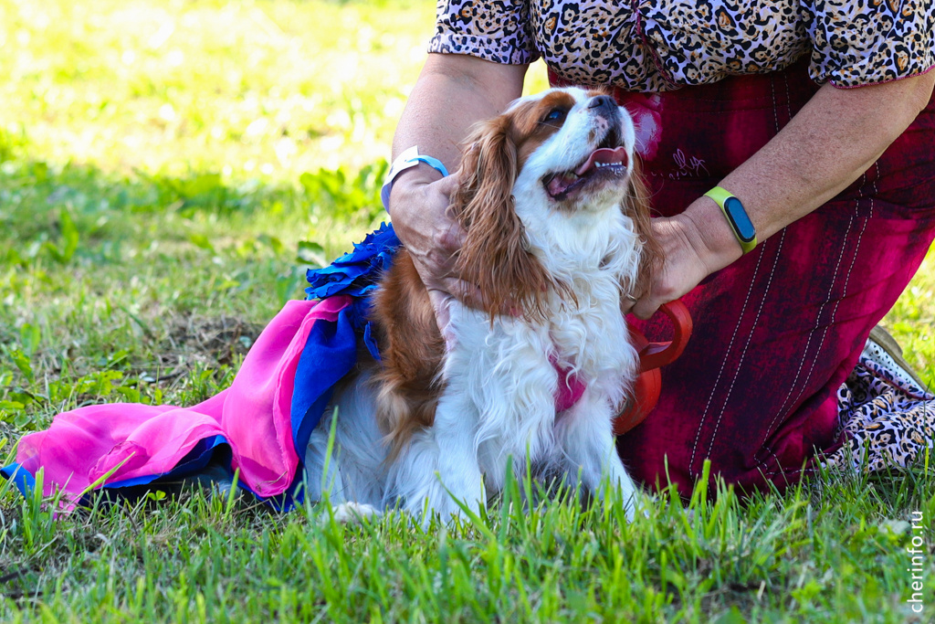    Праздник пройдет 29 июня у дома № 72а на улице Краснодонцев.