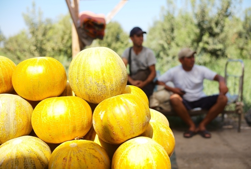 Дыня на 90% состоит из воды   © РИА Новости. Сергей Пятаков