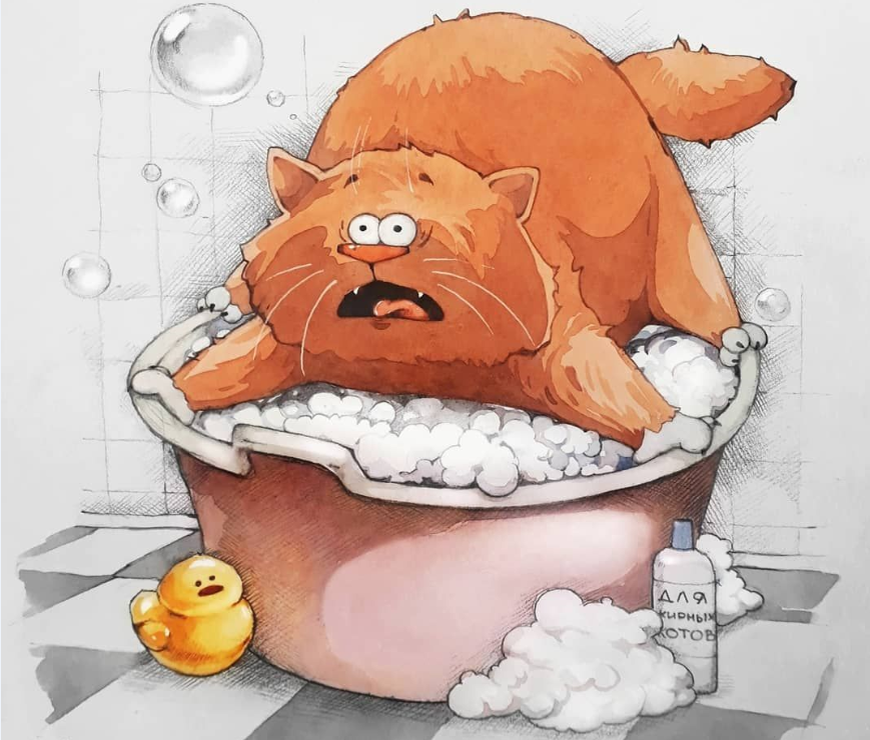 художник Софья Никулина (vk.com/sofiamimi)