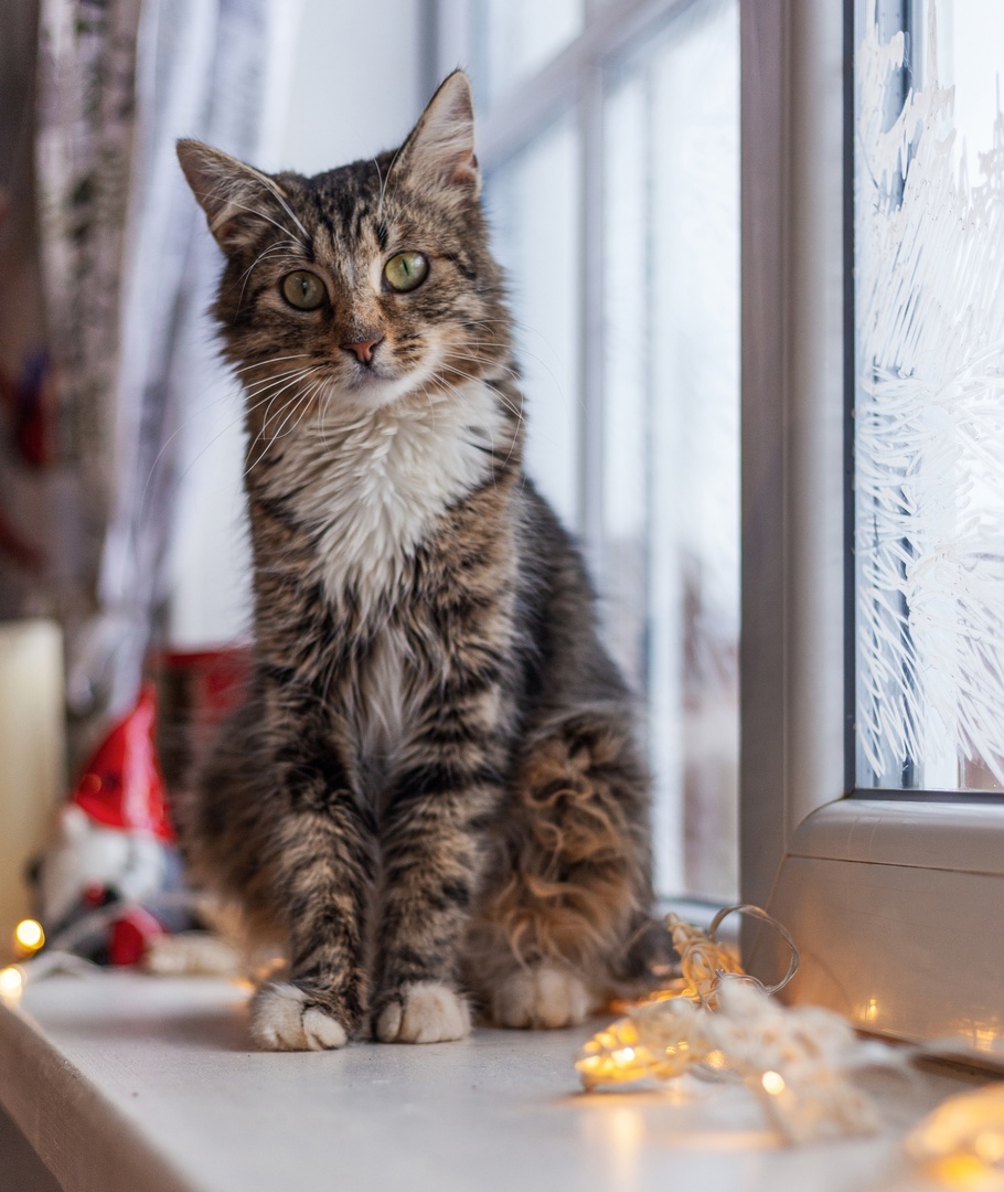 Анфиса в декабре. Только-только приехала