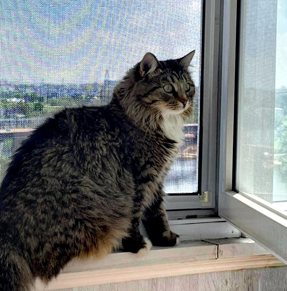 Какая кубышка!