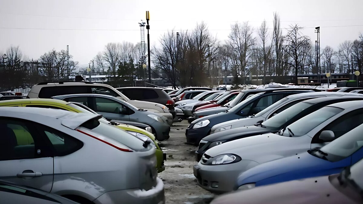     Источник: 1MI