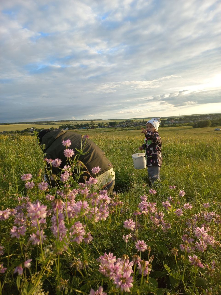Главные собиратели