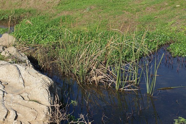 Фото: Hatice Sever / Shutterstock / Fotodom