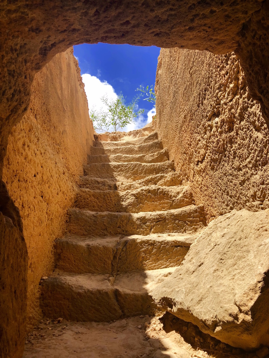 Фото: www.unsplash.com