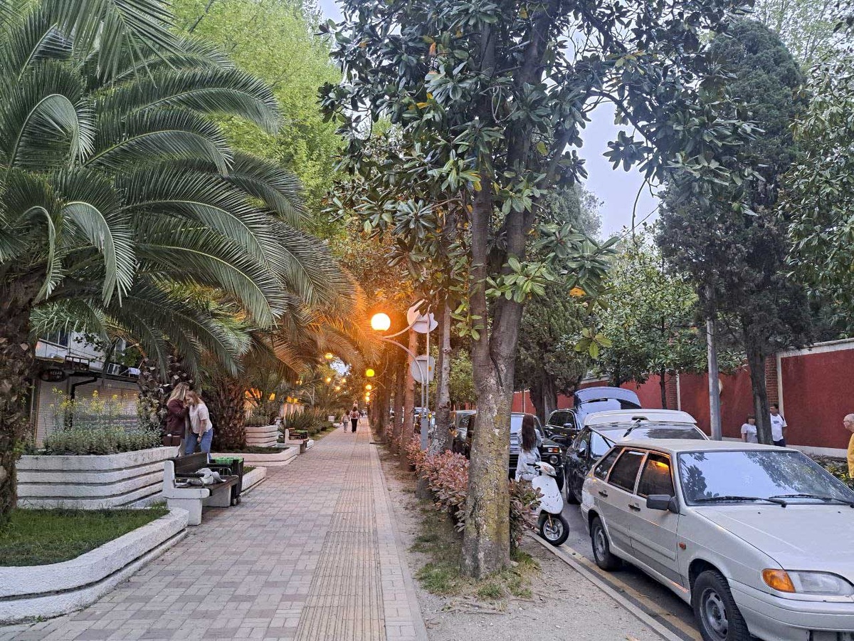 Депутат отказался от бесплатного участка в Сочи.  Фото: Фото: ФедералПресс / Вера Романескул