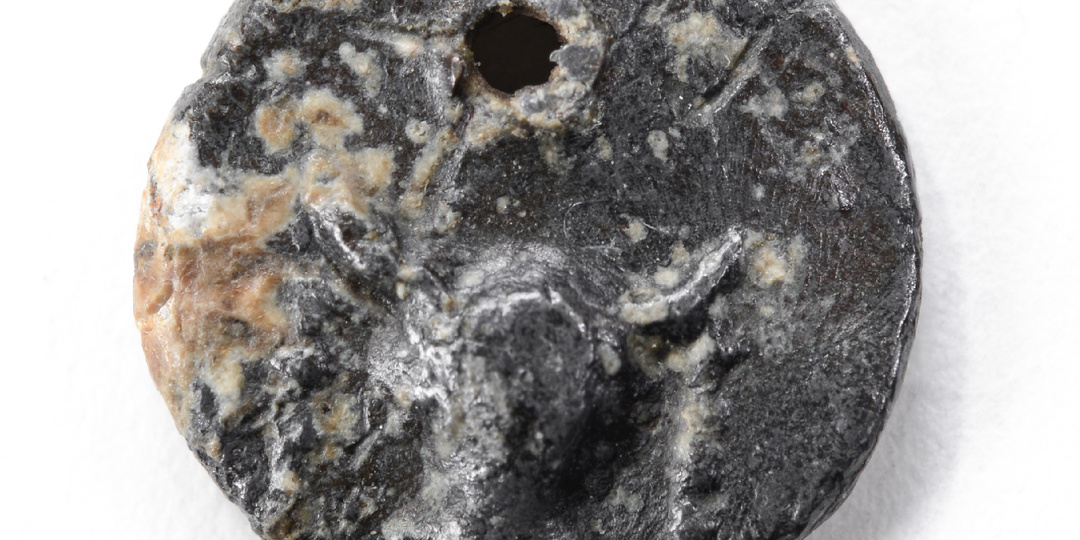 Диполии: древнегреческий праздник в честь владыки Олимпа. Находки из Фанагории