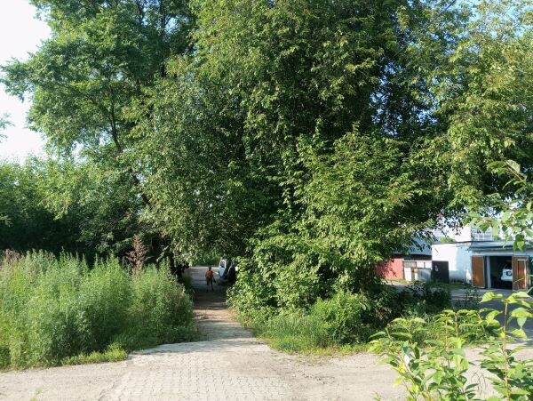    Фото: Амур.инфо