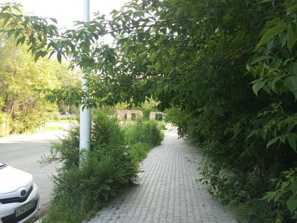    Фото: Амур.инфо