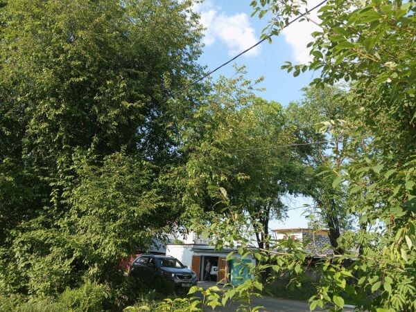    Фото: Амур.инфо