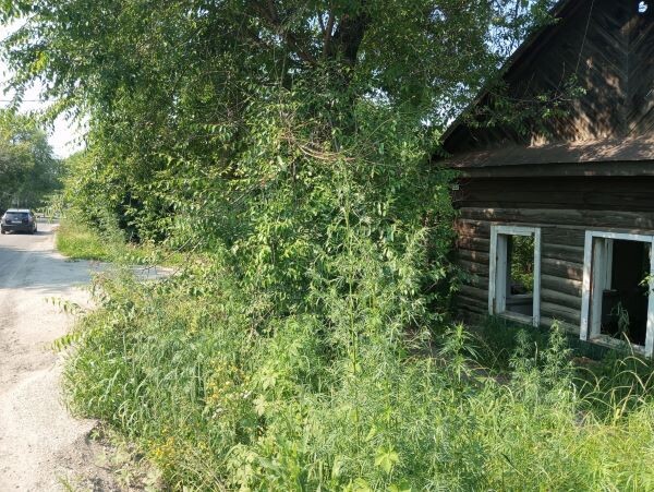    Фото: Амур.инфо