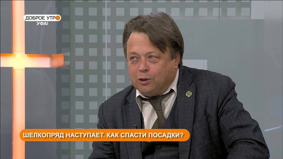    «Доброе утро, Уфа!» 28 июня: эксперты расскажут, как дачникам защитить посадки от нашествия шелкопряда