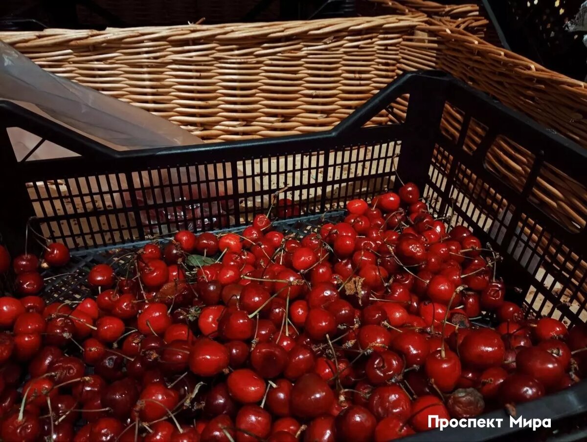     Источник: prmira.ru