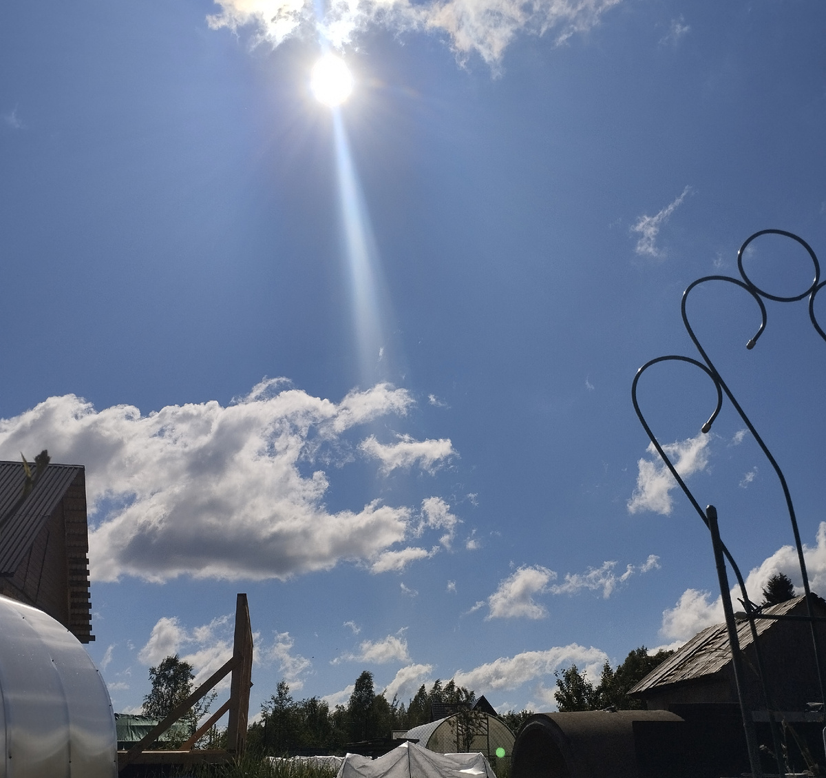 Утро нового дня