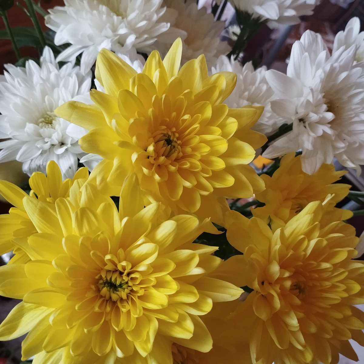 Муж подарил 💋