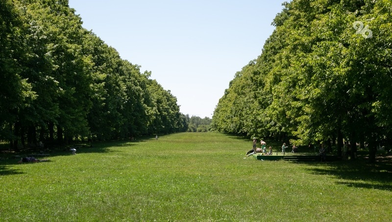      Фото: Валерия Алтухова / / ИА «Победа26»