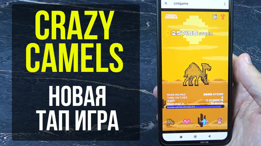 CRAZY CAMELS Mining Game - НОВАЯ ТАП ИГРА В Телеграме