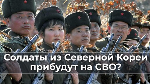 Солдаты из Северной Кореи прибудут на СВО?