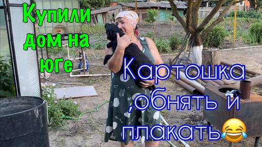 278ч🏡26.06.24-Опять рассада/Копаем картошку/Кораген/У нас любовь ❤️🐕‍🦺🐈