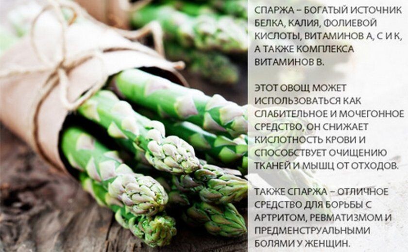 Что такое спаржа из чего делают. Спаржа. Чем полезна спаржа. Спаржа витамины. Спаржа для чего полезна.