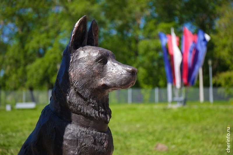    Собаку назвали Дозором.