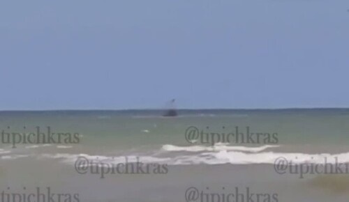    Скрин видео соцсети