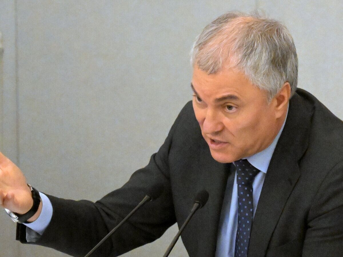    Председатель Государственной Думы РФ Вячеслав Володин© РИА Новости . Владимир Федоренко