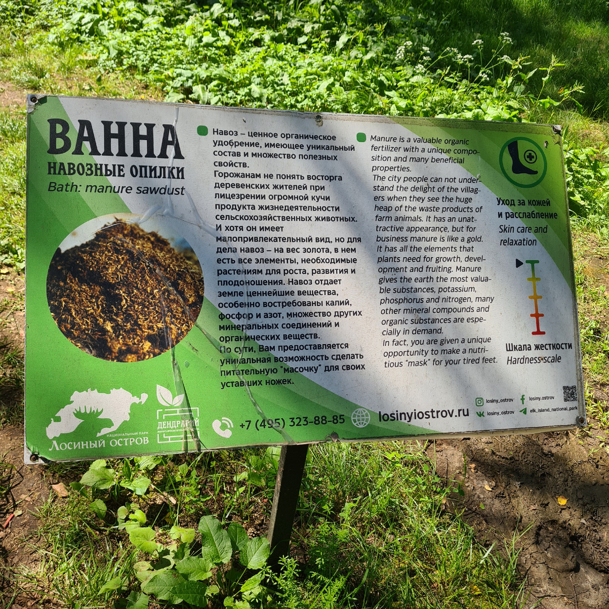 Дендрарий национальный парк лосиный остров