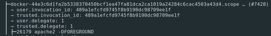 В моём случае это docker-44e3c6d1fa2b5338370...