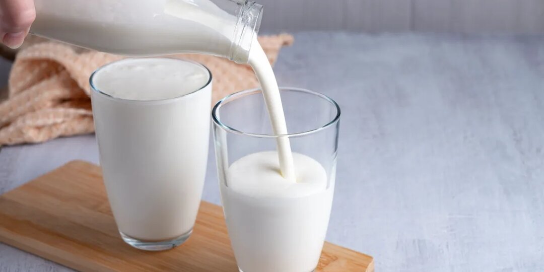 Чем пребиотики отличаются от пробиотиков и зачем они нужны